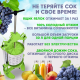 Домкратный бутылочный пресс  SOK 12л